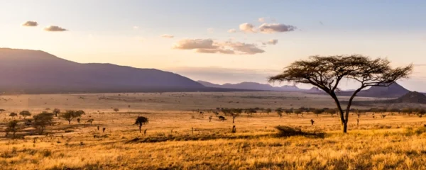 nature africaines grâce à un circuit mémorable