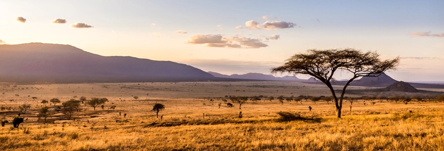 nature africaines grâce à un circuit mémorable